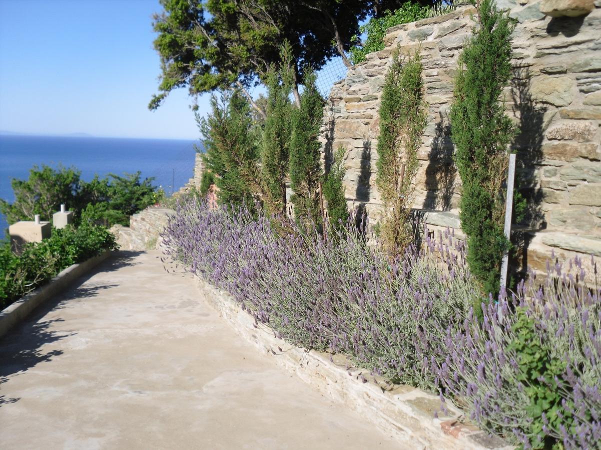 Aparthotel Aegean Castle Andros - Adults Only Agia Eleousa Exteriér fotografie